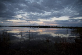 loxahatchee-preserve-Floride-6722