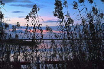 loxahatchee-preserve-Floride-6742