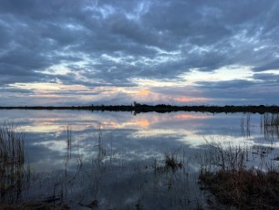 loxahatchee-preserve-Floride-6951