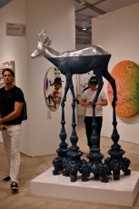Exposition-Art-Miami-2024-7256