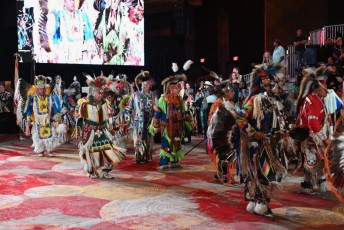 Pow-wow-seminole-hollywood-2024-9059