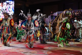 Pow-wow-seminole-hollywood-2024-9076