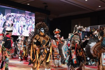 Pow-wow-seminole-hollywood-2024-9087