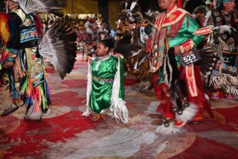 Pow-wow-seminole-hollywood-2024-9134