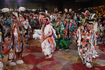 Pow-wow-seminole-hollywood-2024-9181