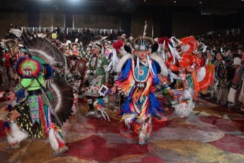 Pow-wow-seminole-hollywood-2024-9244