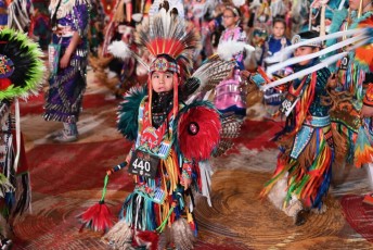 Pow-wow-seminole-hollywood-2024-9327