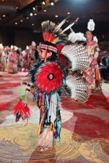 Pow-wow-seminole-hollywood-2024-9343