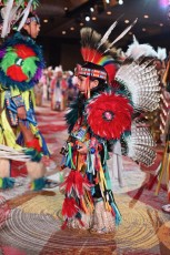 Pow-wow-seminole-hollywood-2024-9345