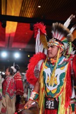 Pow-wow-seminole-hollywood-2024-9381