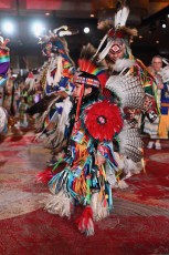 Pow-wow-seminole-hollywood-2024-9423