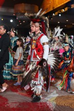 Pow-wow-seminole-hollywood-2024-9426