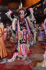 Pow-wow-seminole-hollywood-2024-9430
