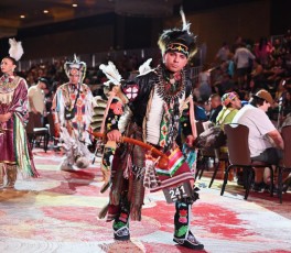 Pow-wow-seminole-hollywood-2024-9466