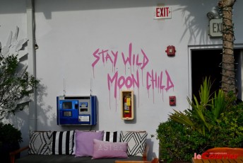 soiree-facc-miami-chambre-commerce-3376