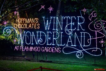 winter-wonderland-hoffman-decorations-noel-flamingo-gardens-davie-floride-3407