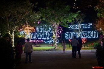 winter-wonderland-hoffman-decorations-noel-flamingo-gardens-davie-floride-3409