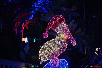 winter-wonderland-hoffman-decorations-noel-flamingo-gardens-davie-floride-3413