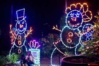 winter-wonderland-hoffman-decorations-noel-flamingo-gardens-davie-floride-3416