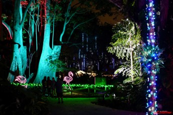 winter-wonderland-hoffman-decorations-noel-flamingo-gardens-davie-floride-3429