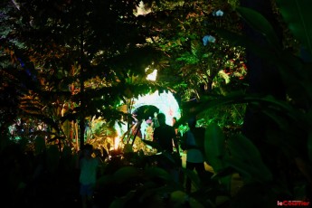 winter-wonderland-hoffman-decorations-noel-flamingo-gardens-davie-floride-3430