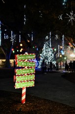 winter-wonderland-hoffman-decorations-noel-flamingo-gardens-davie-floride-3433