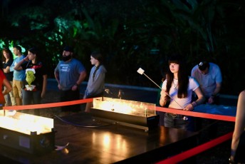 winter-wonderland-hoffman-decorations-noel-flamingo-gardens-davie-floride-3435