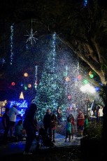 winter-wonderland-hoffman-decorations-noel-flamingo-gardens-davie-floride-3438