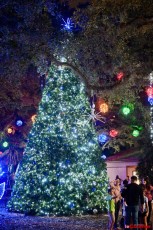 winter-wonderland-hoffman-decorations-noel-flamingo-gardens-davie-floride-3446