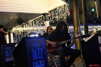 winter-wonderland-hoffman-decorations-noel-flamingo-gardens-davie-floride-3452