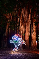 winter-wonderland-hoffman-decorations-noel-flamingo-gardens-davie-floride-3456