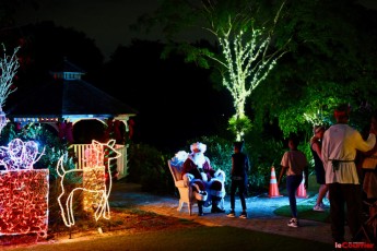 winter-wonderland-hoffman-decorations-noel-flamingo-gardens-davie-floride-3463