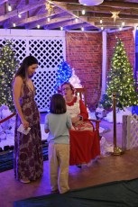 winter-wonderland-hoffman-decorations-noel-flamingo-gardens-davie-floride-3466