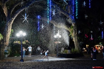 winter-wonderland-hoffman-decorations-noel-flamingo-gardens-davie-floride-3473