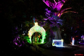 winter-wonderland-hoffman-decorations-noel-flamingo-gardens-davie-floride-3489