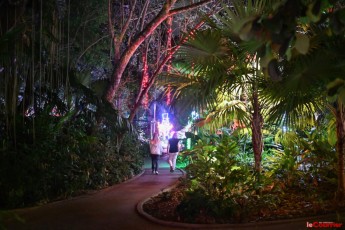 winter-wonderland-hoffman-decorations-noel-flamingo-gardens-davie-floride-3496