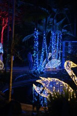 winter-wonderland-hoffman-decorations-noel-flamingo-gardens-davie-floride-3500