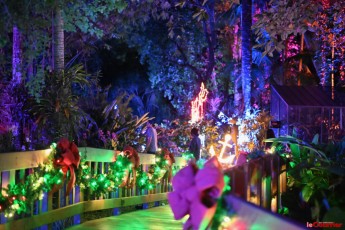 winter-wonderland-hoffman-decorations-noel-flamingo-gardens-davie-floride-3501
