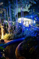 winter-wonderland-hoffman-decorations-noel-flamingo-gardens-davie-floride-3505