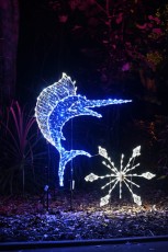 winter-wonderland-hoffman-decorations-noel-flamingo-gardens-davie-floride-3507