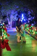 winter-wonderland-hoffman-decorations-noel-flamingo-gardens-davie-floride-3513