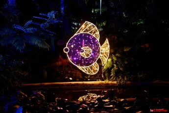 winter-wonderland-hoffman-decorations-noel-flamingo-gardens-davie-floride-3515