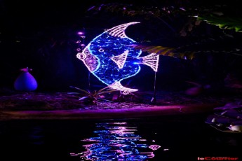 winter-wonderland-hoffman-decorations-noel-flamingo-gardens-davie-floride-3516