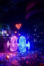 winter-wonderland-hoffman-decorations-noel-flamingo-gardens-davie-floride-3517