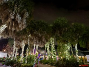 winter-wonderland-hoffman-decorations-noel-flamingo-gardens-davie-floride-4207