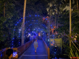 winter-wonderland-hoffman-decorations-noel-flamingo-gardens-davie-floride-4212