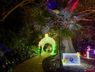 winter-wonderland-hoffman-decorations-noel-flamingo-gardens-davie-floride-4215
