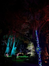 winter-wonderland-hoffman-decorations-noel-flamingo-gardens-davie-floride-4217
