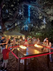 winter-wonderland-hoffman-decorations-noel-flamingo-gardens-davie-floride-4225