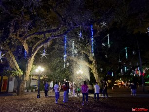 winter-wonderland-hoffman-decorations-noel-flamingo-gardens-davie-floride-4231